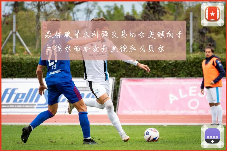 森林狼寻求补强交易机会更倾向于兰德尔而非麦丹里德和戈贝尔