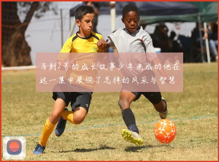 马刺2号的成长故事少年老成的他在这一集中展现了怎样的风采与智慧