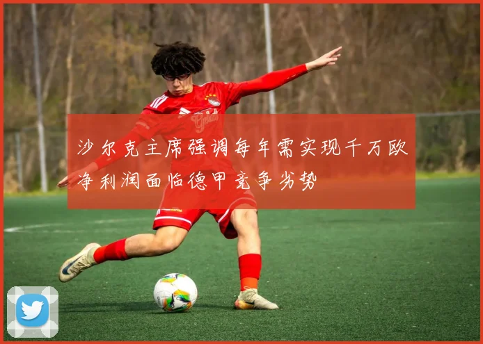 沙尔克主席强调每年需实现千万欧净利润面临德甲竞争劣势